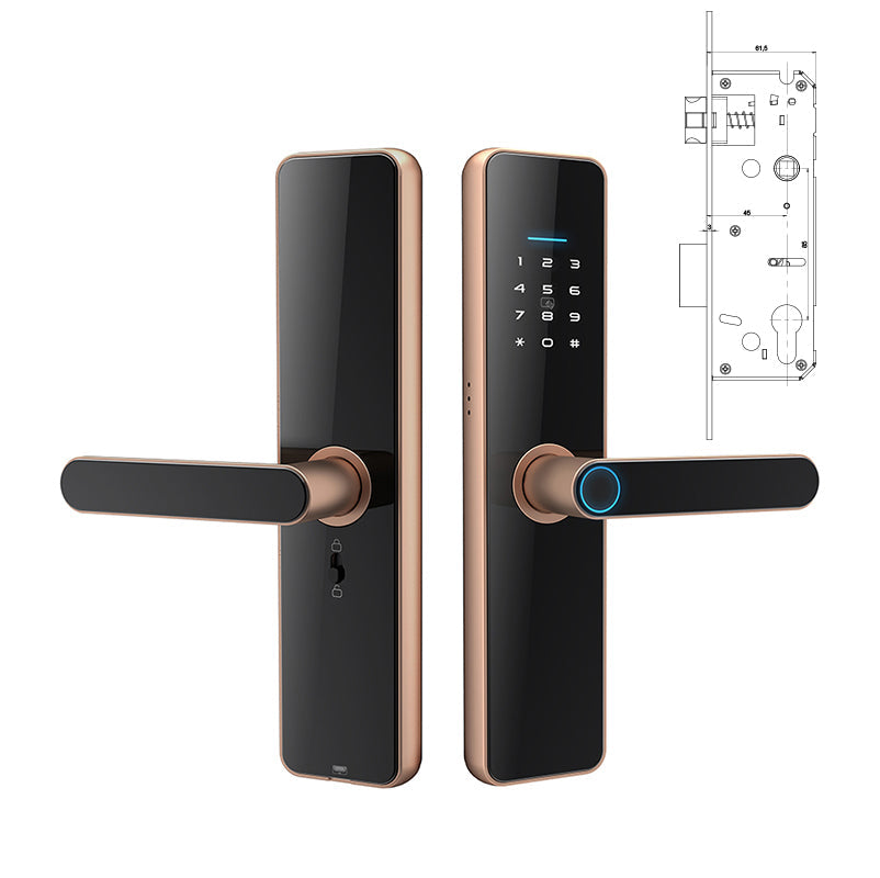 Fingerprint Password Smart Door Locks SA-C91