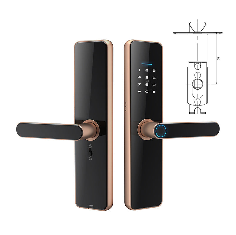 Fingerprint Password Smart Door Locks SA-C91