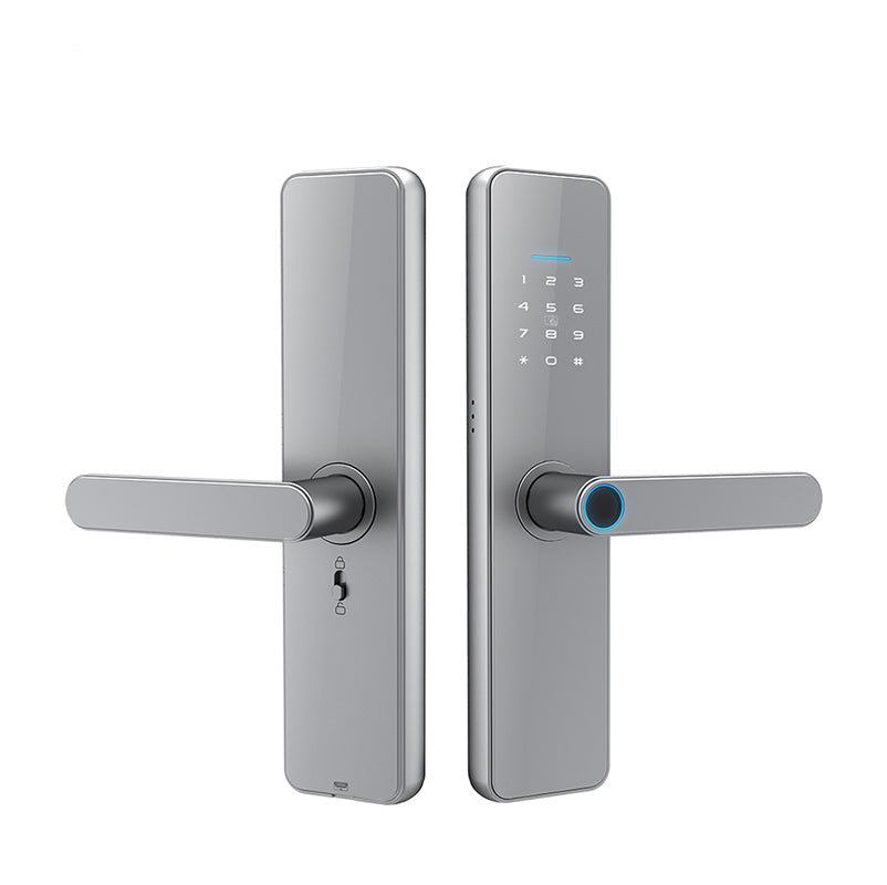 Fingerprint Password Smart Door Locks SA-C91