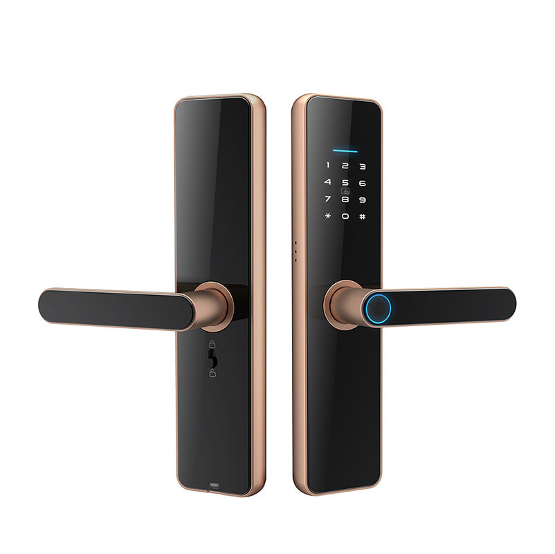 Fingerprint Password Smart Door Locks SA-C91