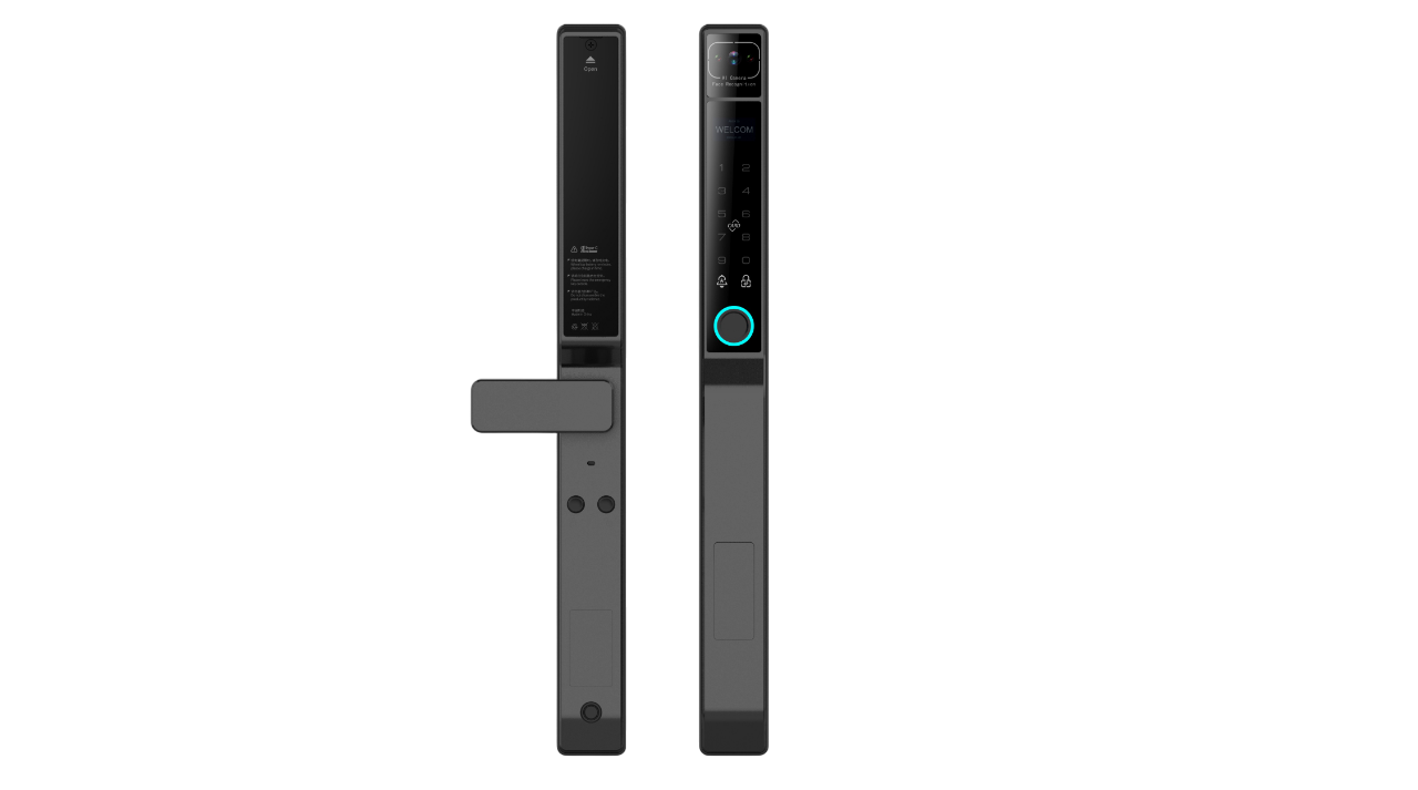 Tuya Wifi 3D Face Smart Door Lock SA-C101
