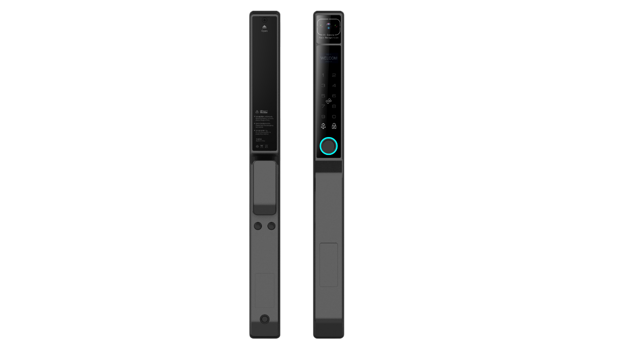 Tuya Wifi 3D Face Smart Door Lock SA-C101