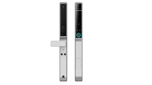 Tuya Wifi 3D Face Smart  Door Lock SA-C101