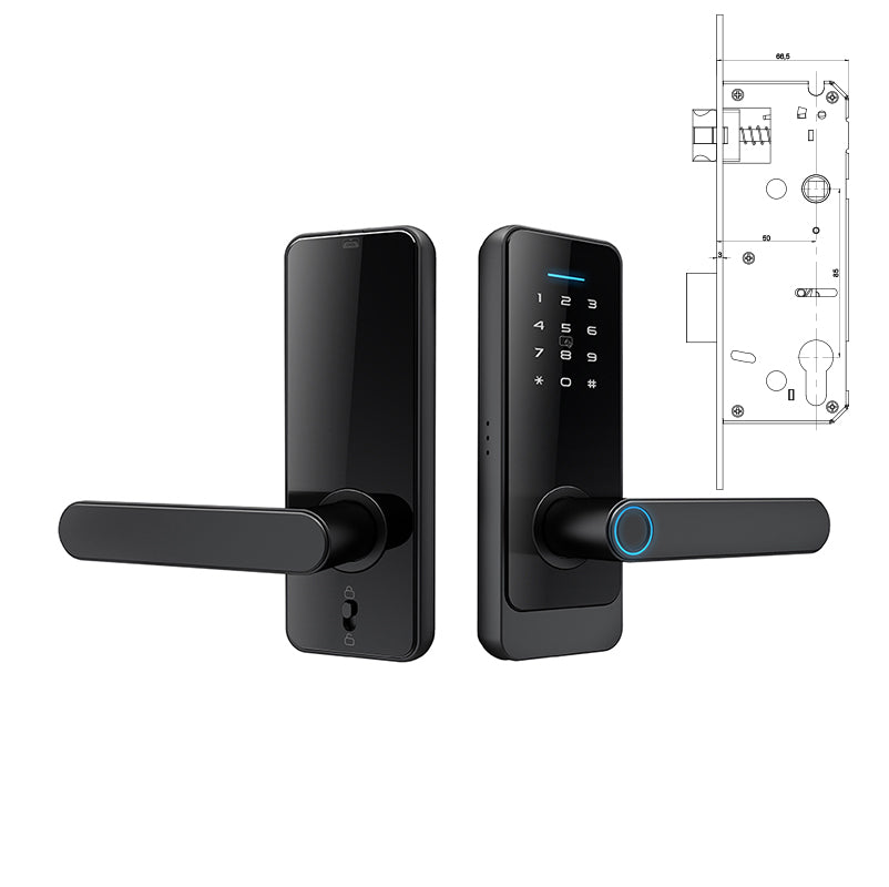 Fingerprint Password Digital Smart Lock SA-C89