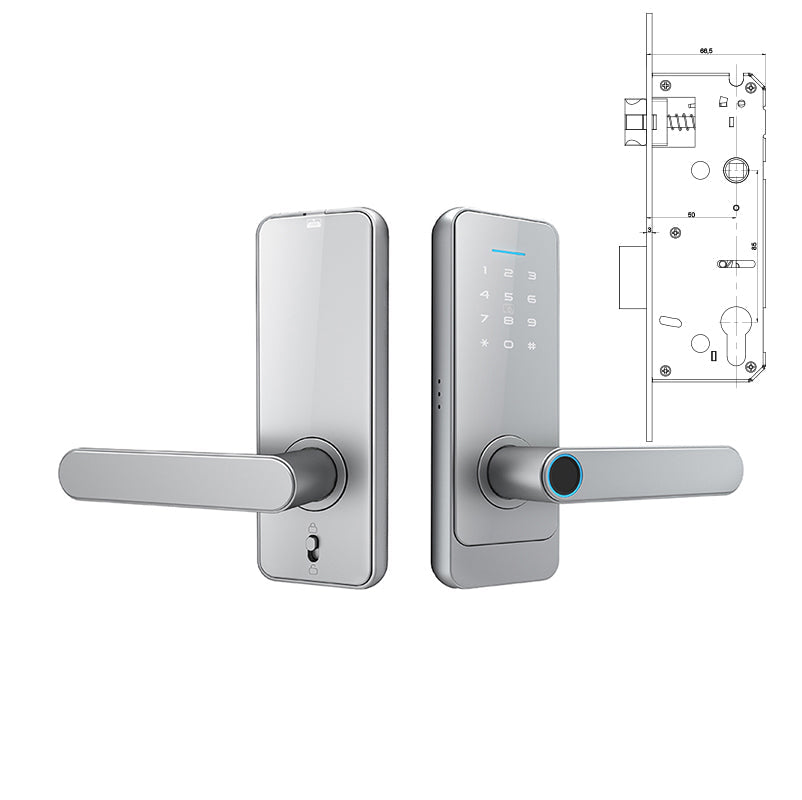 Fingerprint Password Digital Smart Lock SA-C89