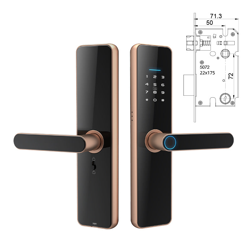 Fingerprint Password Smart Door Locks SA-C91
