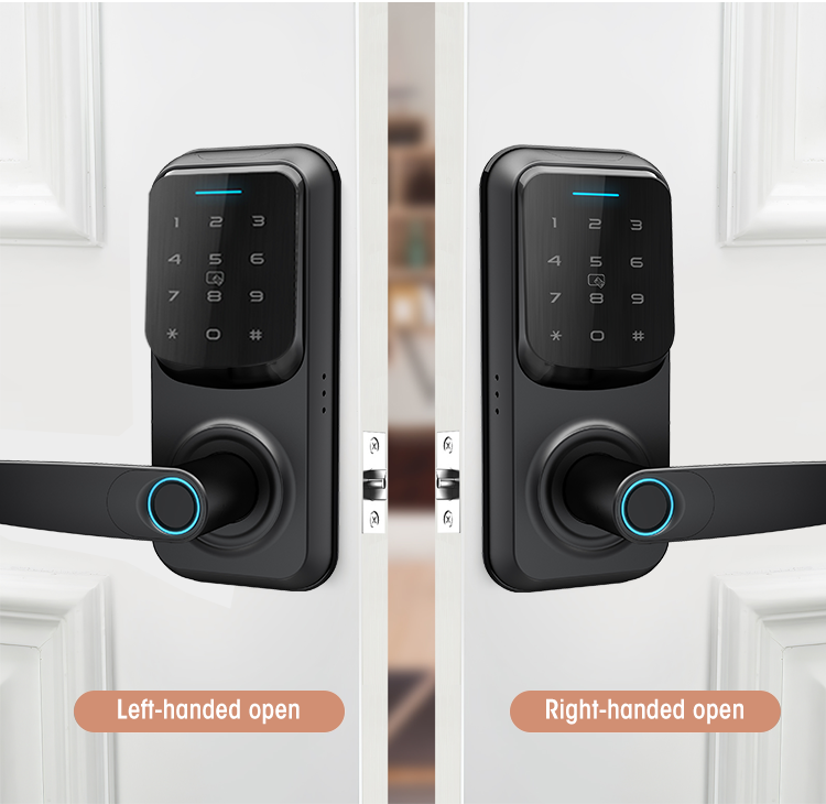 Digital Fingerprint Keypad Smart Door Lock SA-C90