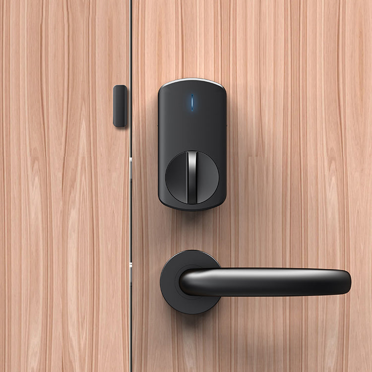 Smart Door Lock Bluetooth + Optional Keypad/Remote – Redefine Home Access